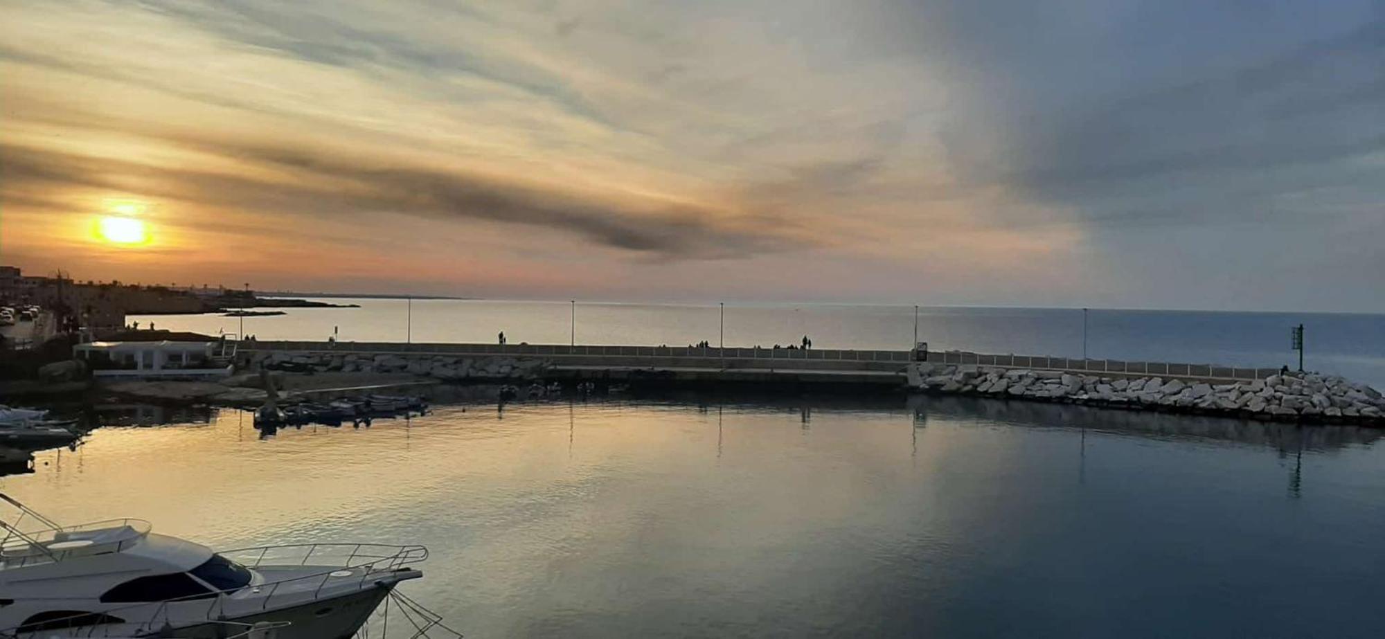 Felu'S House Daire Giovinazzo Dış mekan fotoğraf